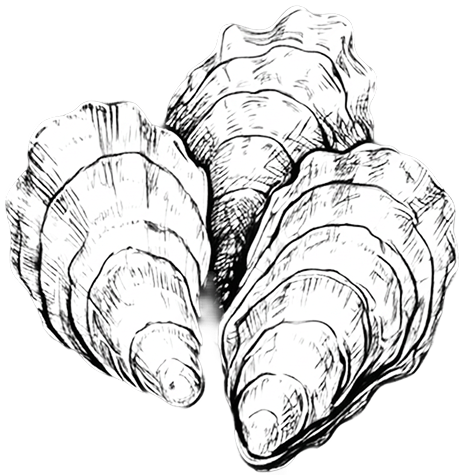 Humboldt Bay oyster